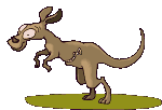 Tie me Kangaroo down !